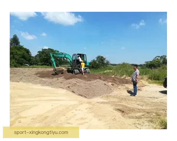 多特蒙德老板呼吁严厉措施出台